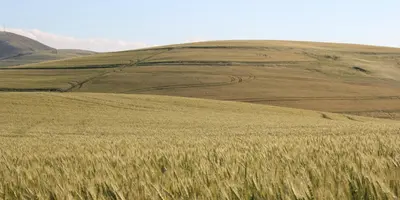 Borden SK Real Estate Near Saskatoon