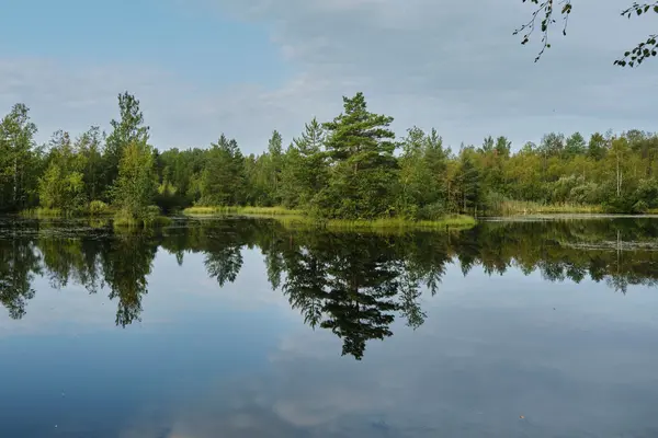 Lakeland Cottage Season: What to Expect This Summer